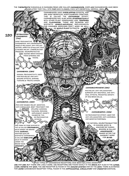 Cannabis in Canada: The Illustrated History